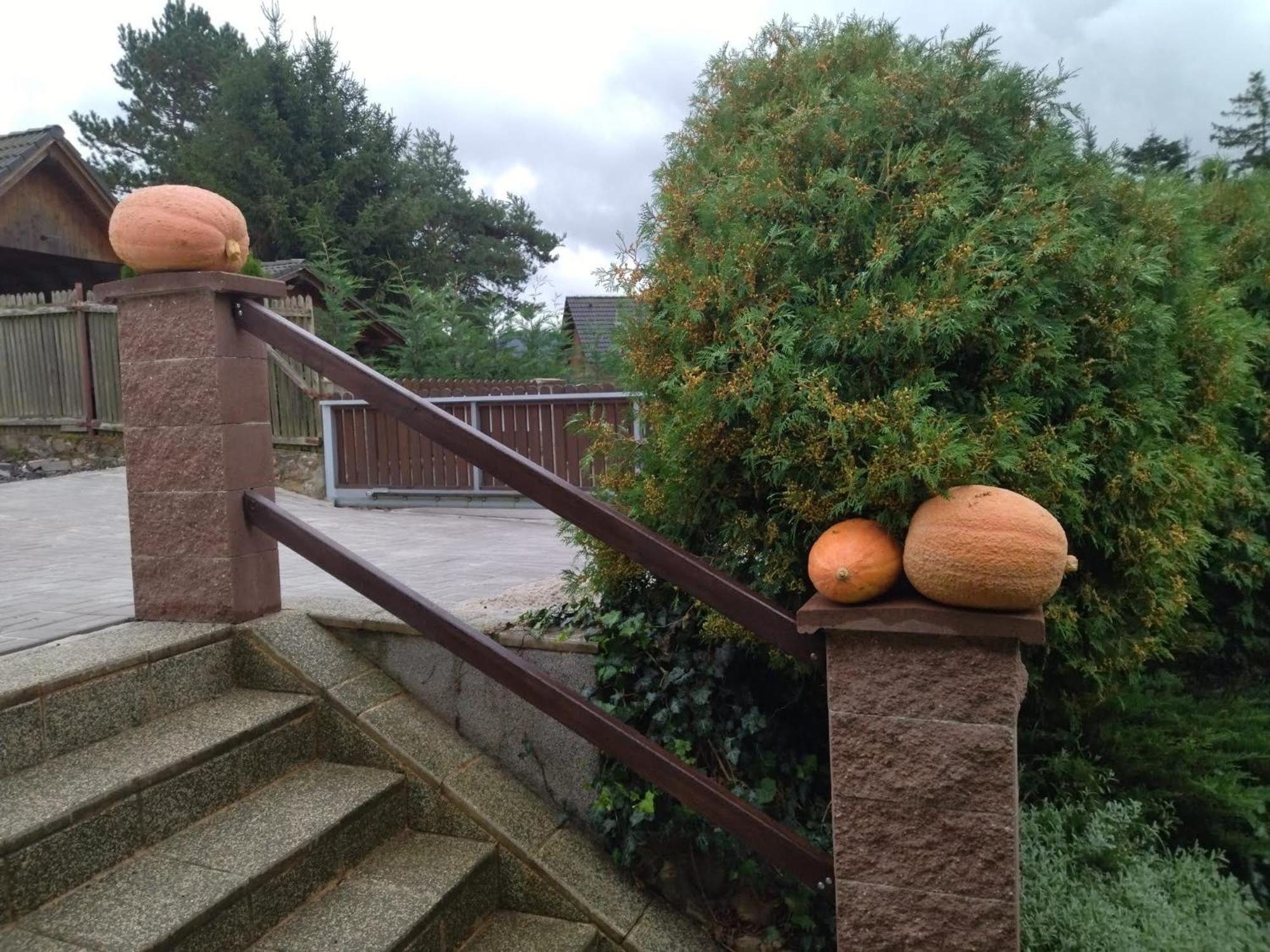 Apartamento Vseborky Dalovice Exterior foto