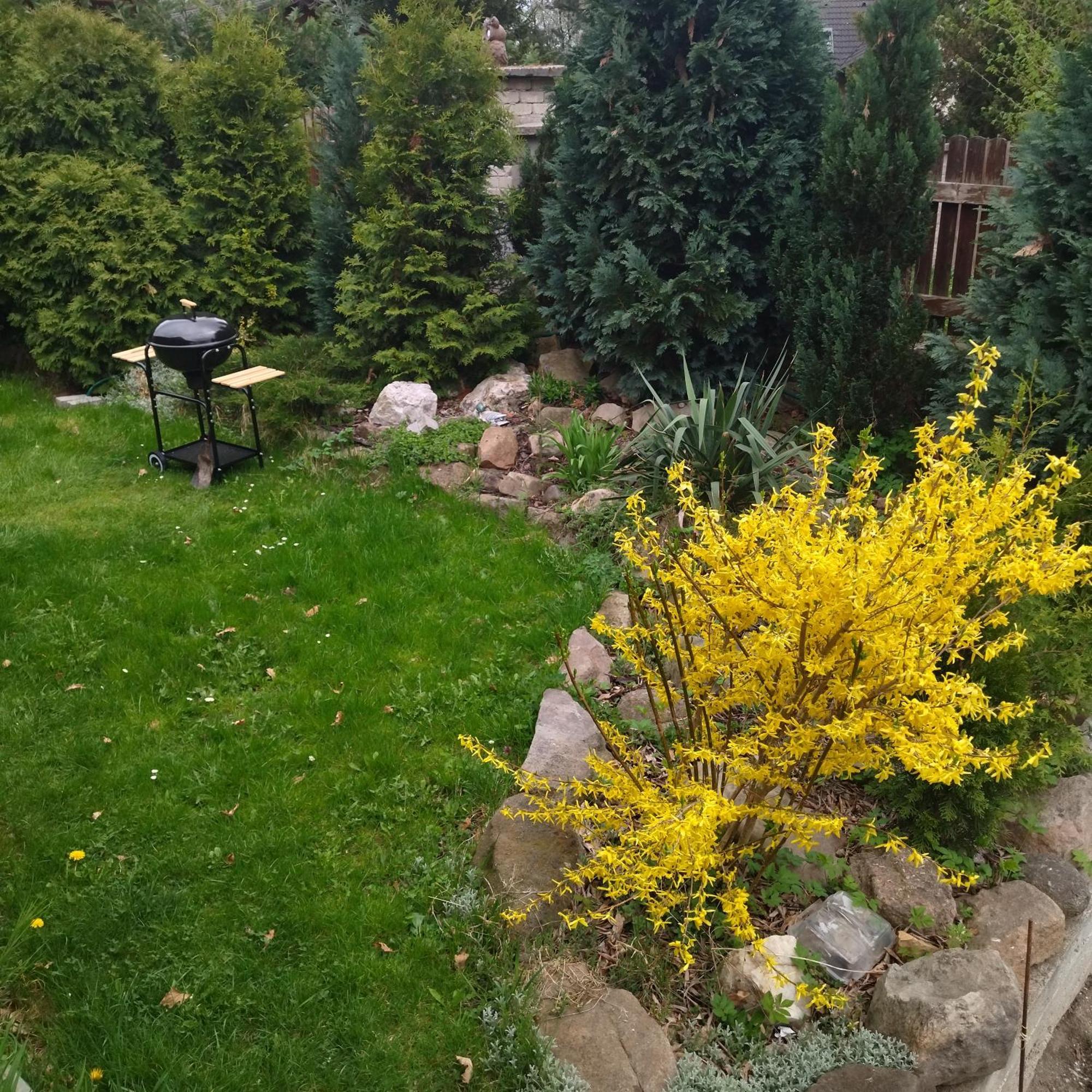 Apartamento Vseborky Dalovice Exterior foto